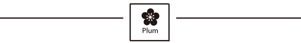 Plum_Header_02