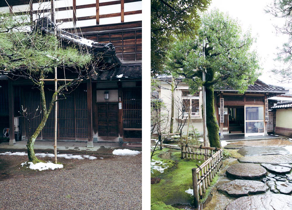 Nalata_Nalata_Journal_Japan_Trip_Recap_Yukitsuri_Moss_Trees