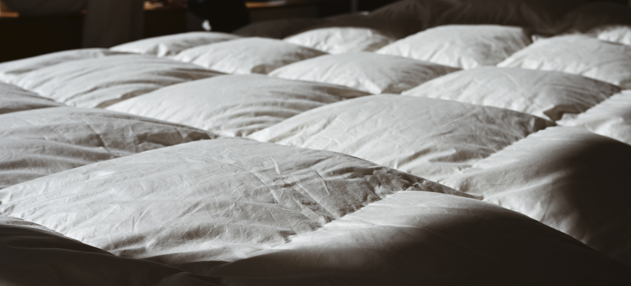Up-close image of Duvet by Iwata